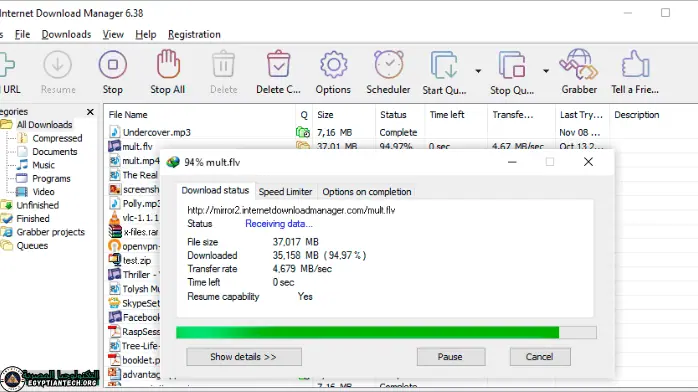 تحميل داونلود مانجر مع الكراك الاصلي مجانا 2025 للكمبيوتر