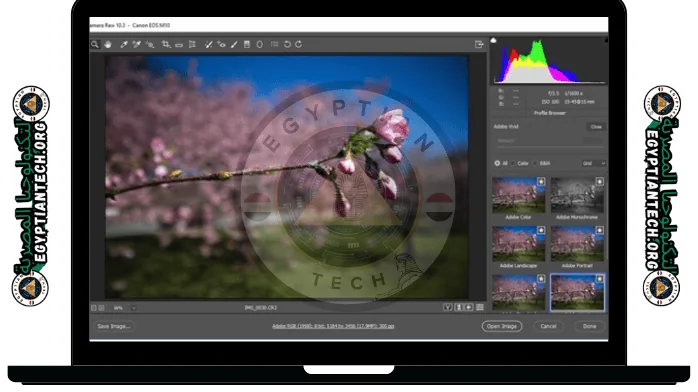تحميل برنامج فلتر الصور مجانا